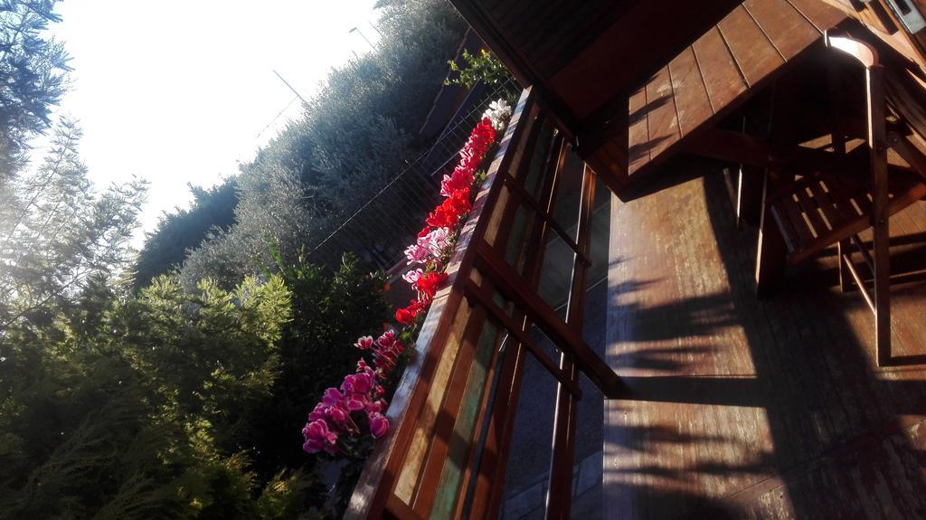Villa Agriturismo Baita Marina Albenga Exterior foto